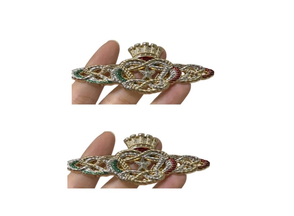 2 Distintivo Congedati Forze Armate spedizione gratis Divisa Militare