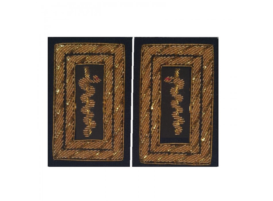 Corpo sanitario aeronautico aeronautica militare travette da ufficiale superiore maggiore tenente colonnello e colonnello Divisa Militare