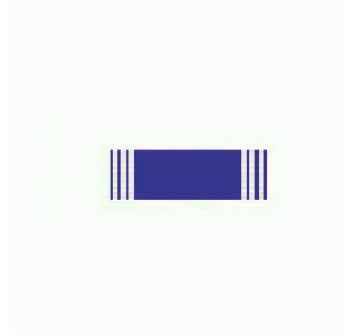 30 anni di onorevole servizio polizia locale Marche Divisa Militare