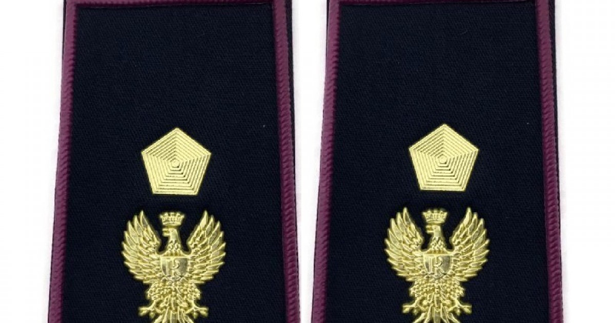 Vice ispettore Polizia di Stato gradi tubolari da giacca a vento Vice  ispettore Divisa Militare