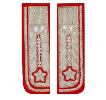 Alamari ricamati giacca luogotenente carabinieri Divisa Militare