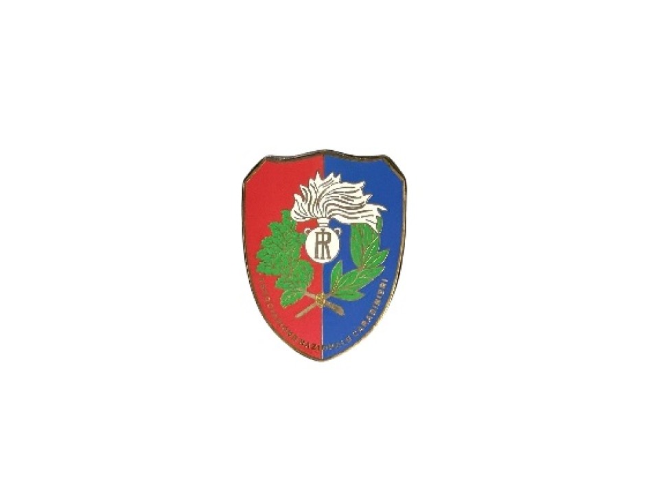 ANC spilla pin associazione nazionale carabinieri Divisa Militare