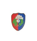 ANC spilla pin associazione nazionale carabinieri