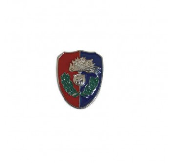 ANC spilla pin associazione nazionale carabinieri Divisa Militare