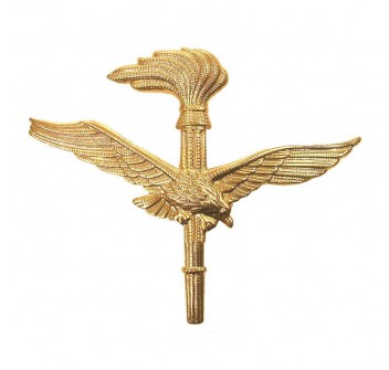 Aves aviazione esercito fregio in metallo per berretto tesa Divisa Militare
