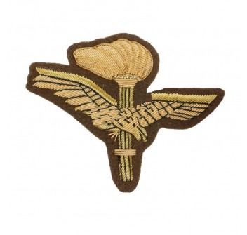 Aves aviazione esercito fregio ricamato per berretto tesa caki Divisa Militare