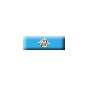 Benemerenza Giubilare Sacro Ordine Costantiniano di San Giorgio Divisa Militare