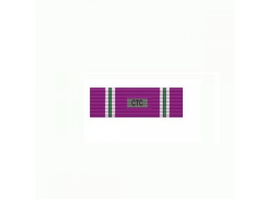 Componente comitato tecnico consultivo polizia locale Marche nastrino Divisa Militare
