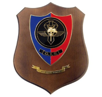 Crest GIS Gruppo Intervento Speciale Carabinieri Divisa Militare