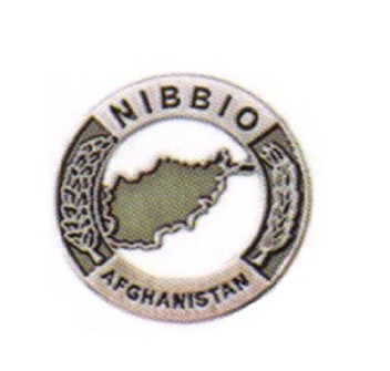 distintivo nibbio afghanistan spilla militare missione Divisa Militare