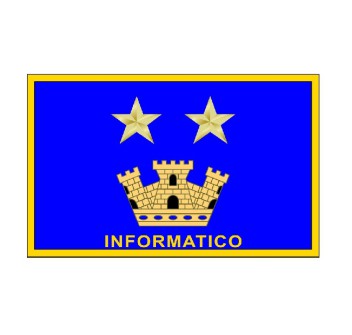 Distintivo qualifica Vigili del Fuoco VVF Informatico due stella e torre Divisa Militare