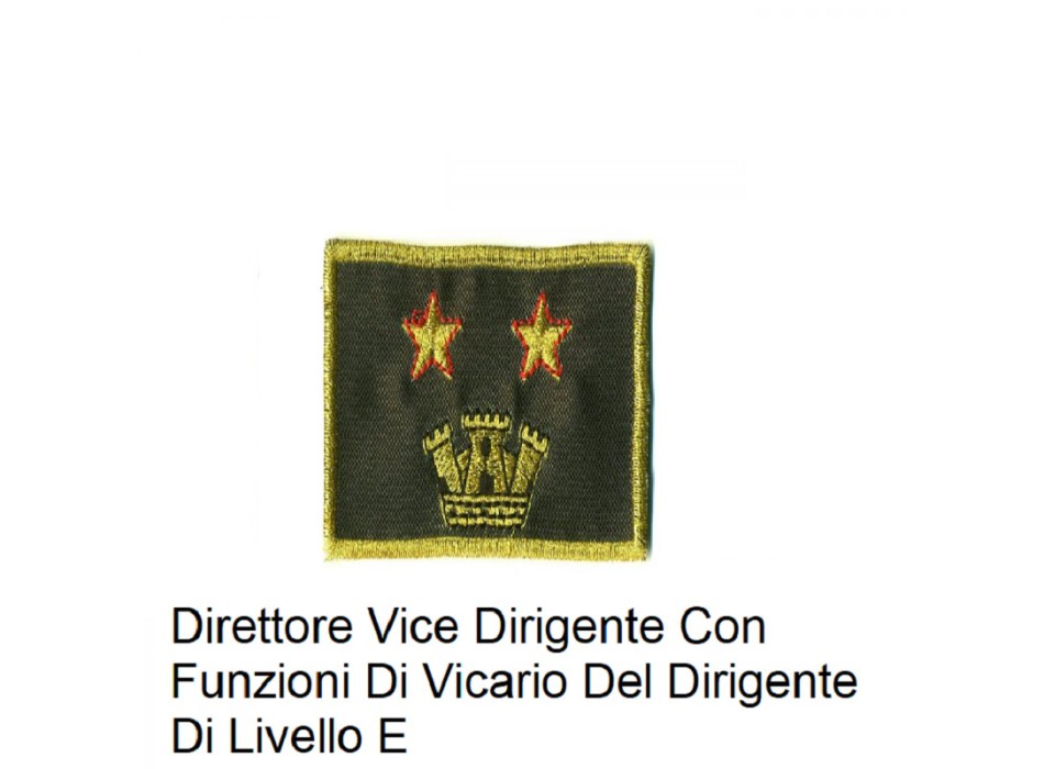 Distintivo qualifica Vigili del Fuoco VVF Vigile Del Fuoco Direttore Vice Dirigente Con Funzioni Di Vicario Del Dirigente Di Livello E grado quadrato Divisa Militare