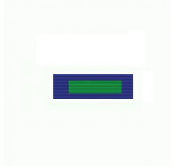 Dottorato di ricerca polizia locale Marche nastrino Divisa Militare