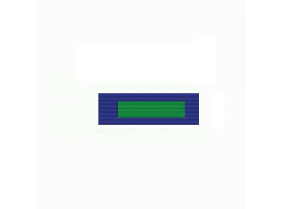 Dottorato di ricerca polizia locale Marche nastrino Divisa Militare