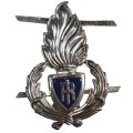 Fregio basco Polizia Penitenziaria
