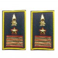 GDF Guardia di Finanza gradi tubolari luogotenente
