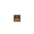 Guardia di Finanza grado velcro luogotenente GDF
