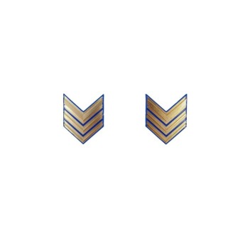 Gradi in metallo Sergente Maggiore Aviotruppe Esercito Divisa Militare