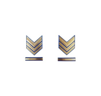 Gradi in metallo Sergente Maggiore Capo Aviotruppe Esercito Divisa Militare
