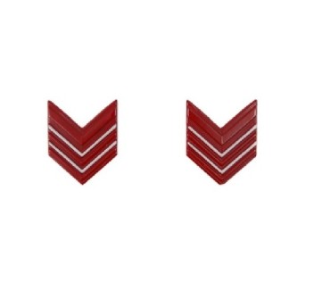 Gradi metallo appuntato scelto carabinieri Divisa Militare