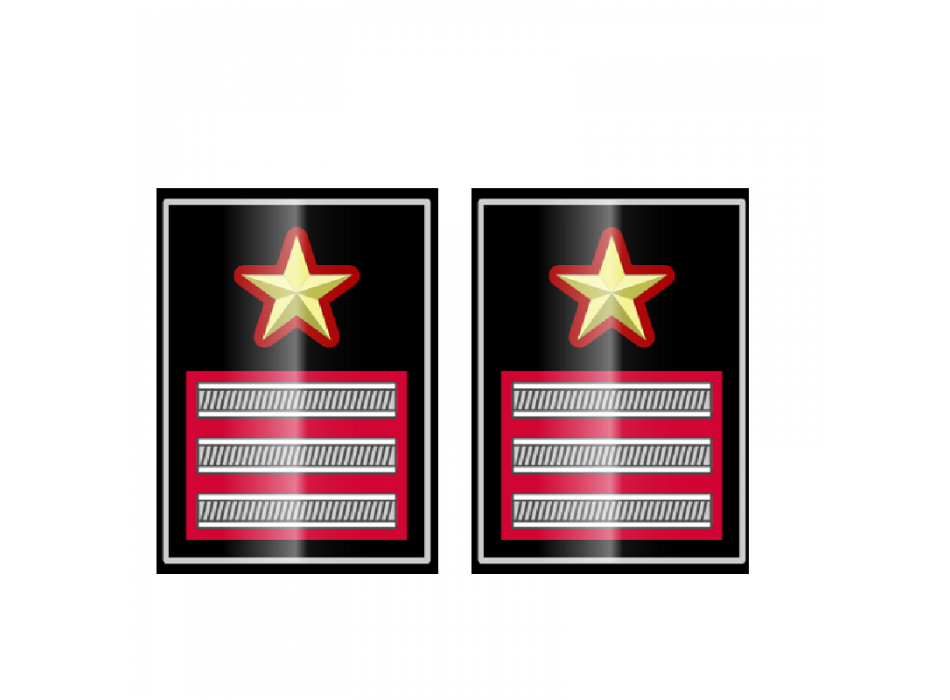 Gradi metallo giacca luogotenente carabinieri Divisa Militare