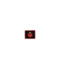 Grado velcro Appuntato Scelto QS Carabinieri polo