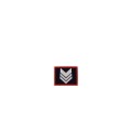 Grado velcro Brigadiere Carabinieri polo