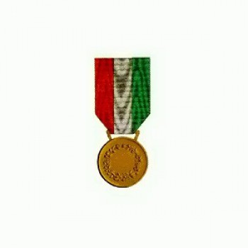 Medaglia di Bronzo al Valor Civile Divisa Militare