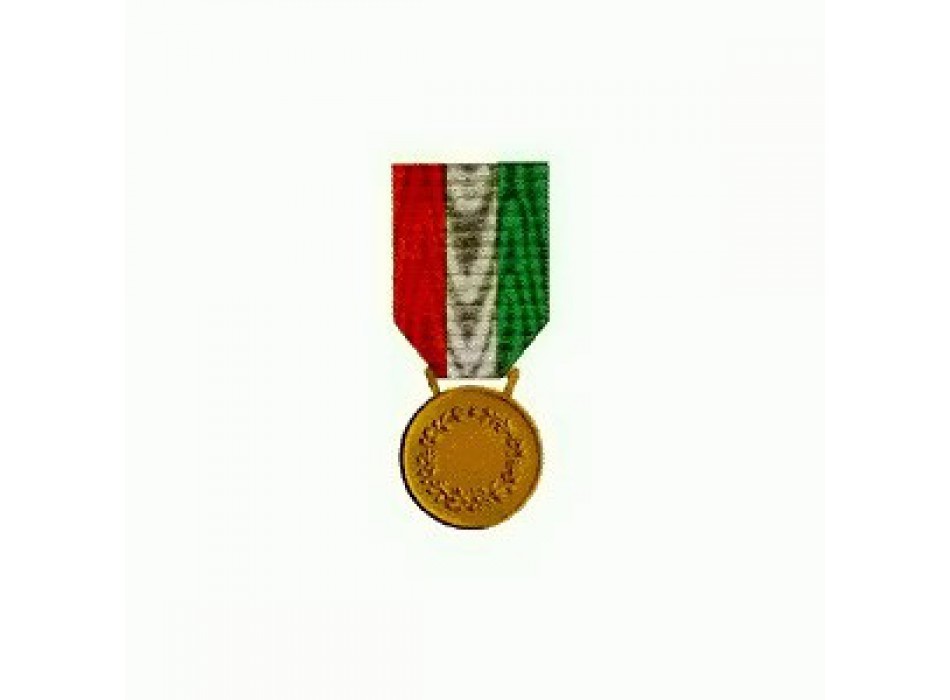Medaglia di Bronzo al Valor Civile Divisa Militare