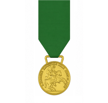 Medaglia Mauriziana Divisa Militare