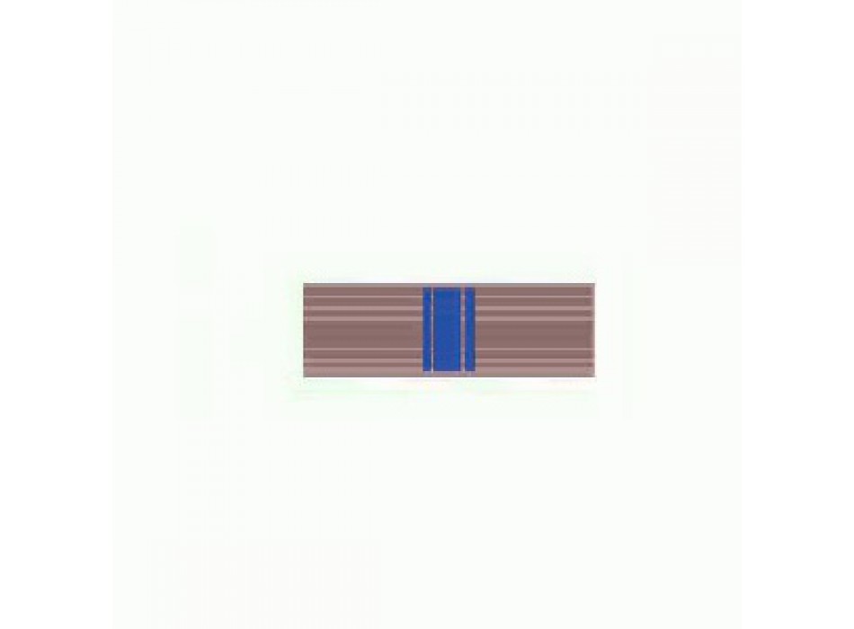 meriti investigativi polizia locale Marche nastrino Divisa Militare