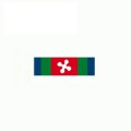 Nastrino Covid protezione civile Lombardia