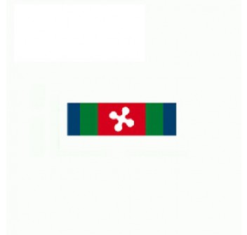 Nastrino Covid polizia locale Lombardia Divisa Militare