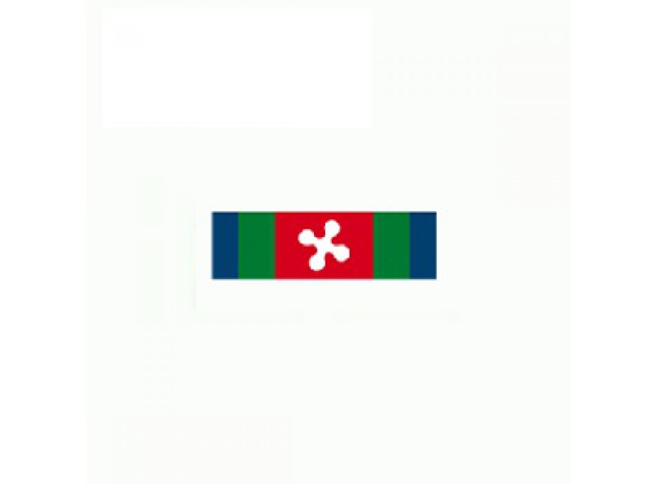 Nastrino Covid polizia locale Lombardia Divisa Militare