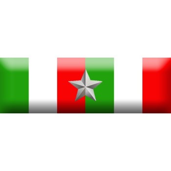 Nastrino d'argento al Merito Civile Divisa Militare