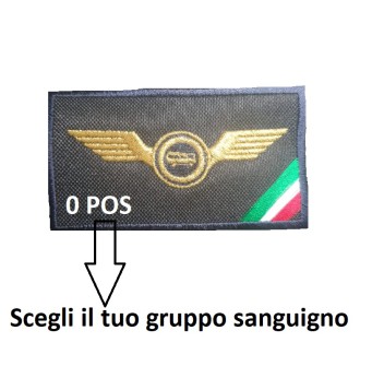 Patch Autista guida veloce pullman con tricolore + gruppo sanguigno Divisa Militare