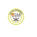 Patch GSA