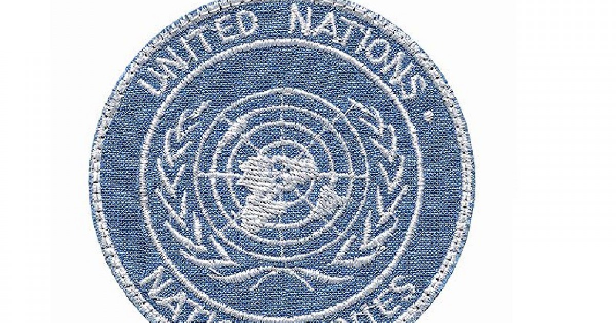 Toppa Ricamata Termoadesiva Marines Esercito USA - 100x51 Mm - Stemma Per Zaino, Giacca, Jeans - Fai Da Te - Prodotta In Francia