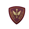 Patch Polizia di Stato Reparto Mobile