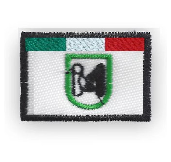 Patch toppa regione Marche cm 5 x 8 Divisa Militare