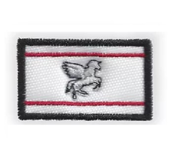 Patch toppa regione Toscana cm 5 x 8 Divisa Militare