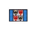 Patch toppa regione Trentino Alto Adige cm 2,5 x 4 