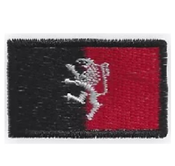 Patch toppa regione Valle d'Aosta cm 5 x 8 Divisa Militare