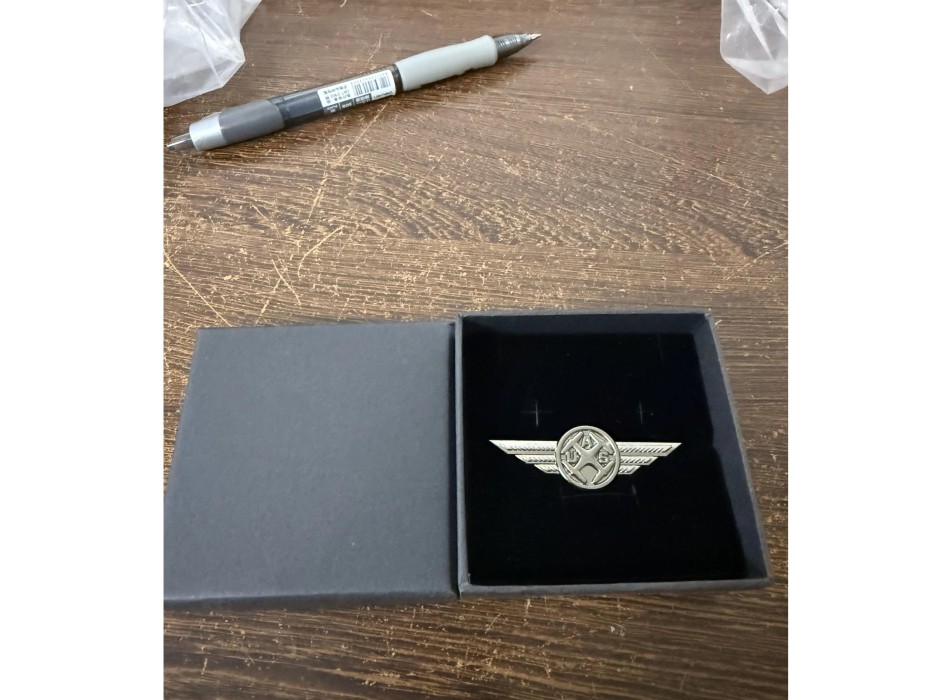 Pilota di drone spilla brevetto distintivo Divisa Militare