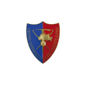Pin Carabinieri addestramento alpino distintivo spilla Divisa Militare