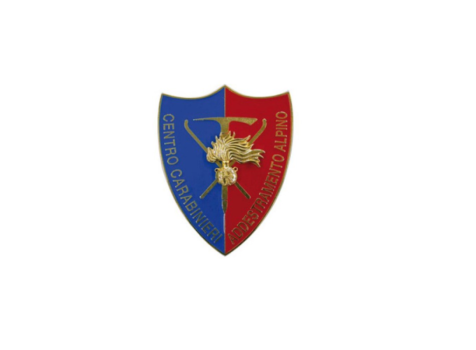 Pin Carabinieri addestramento alpino distintivo spilla Divisa Militare