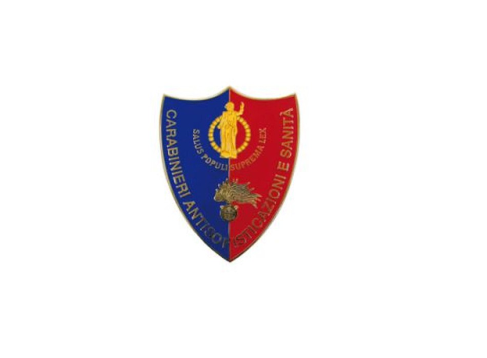 Pin Carabinieri antisofisticazione e sanità distintivo spilla Divisa Militare