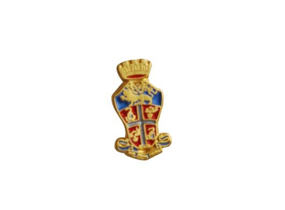 Pin Carabinieri araldica Divisa Militare