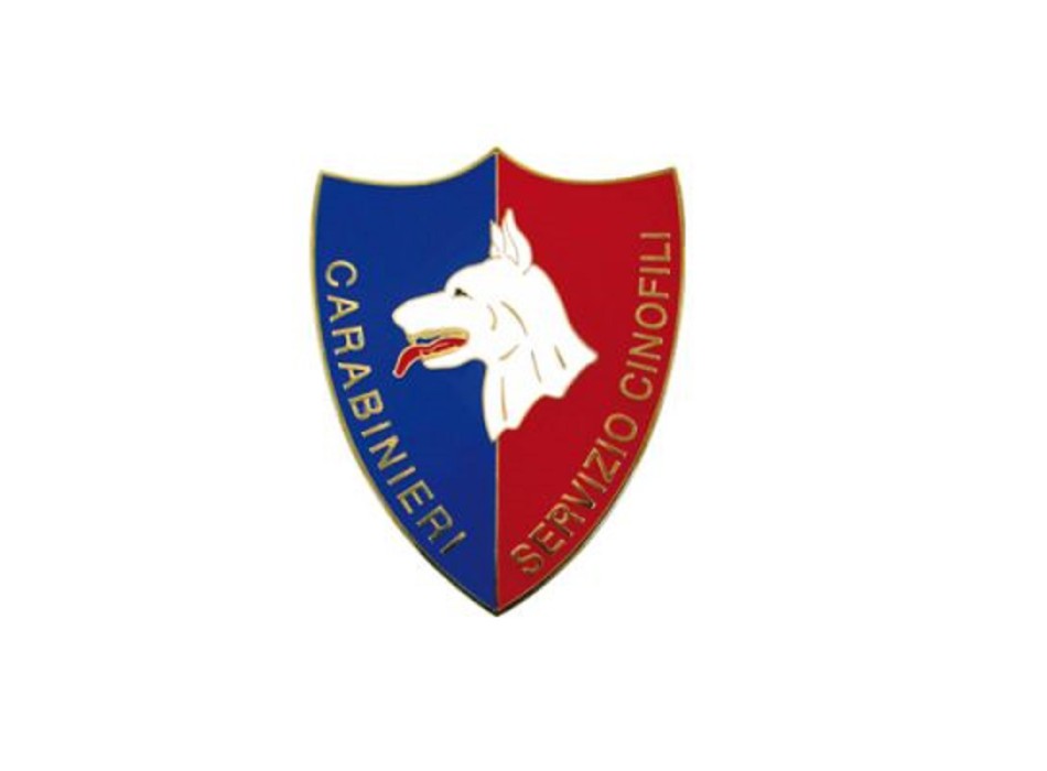 Pin Carabinieri cinofili distintivo spilla Divisa Militare