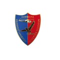 Pin Carabinieri eliportato cacciatore di Sardegna distintivo spilla